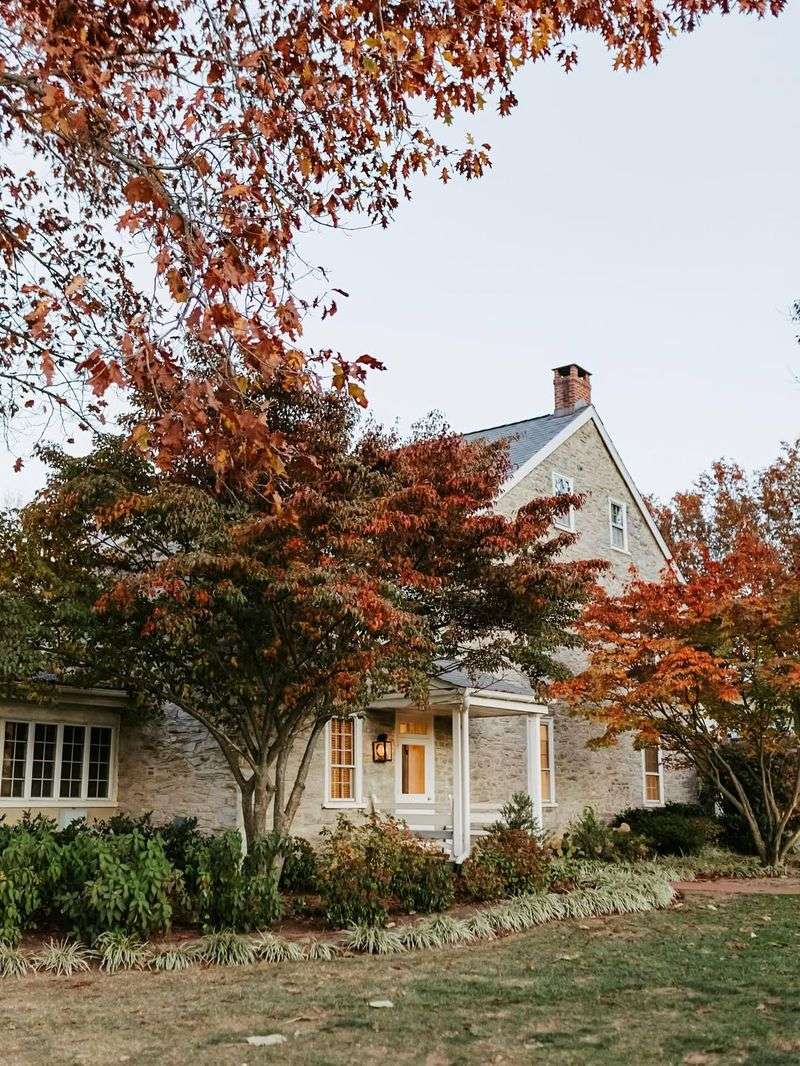 Too Close To The Home's Foundation