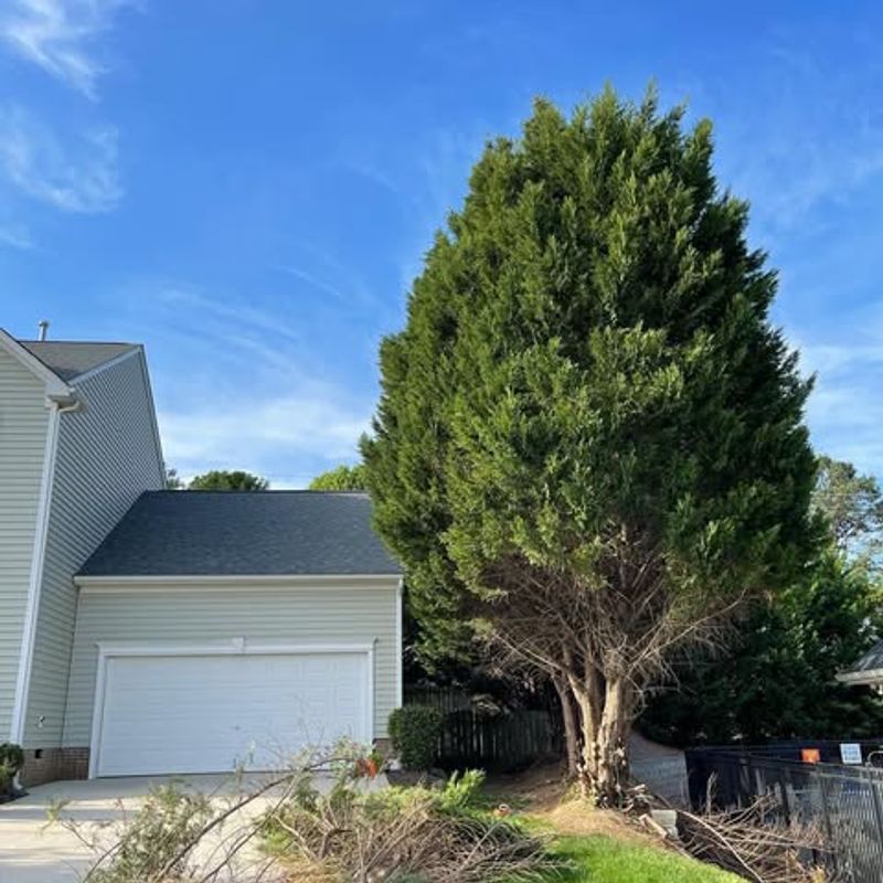 Too Close To A Home's Foundation