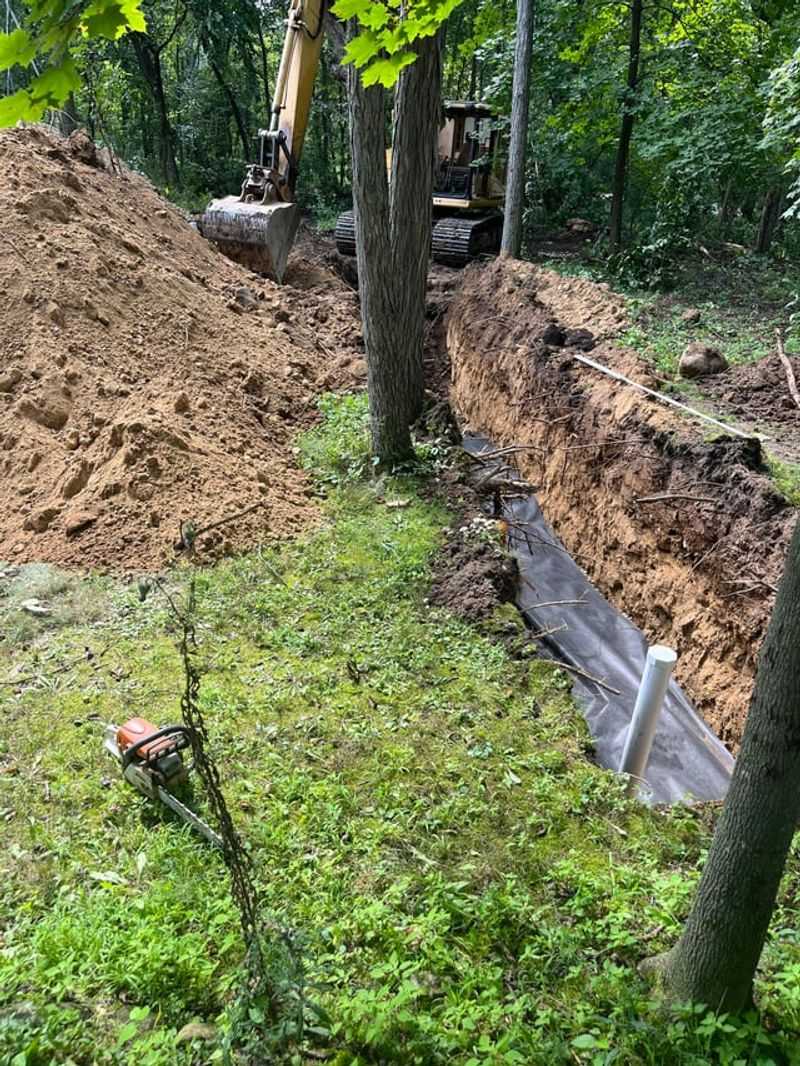 Near Septic Systems and Drain Fields