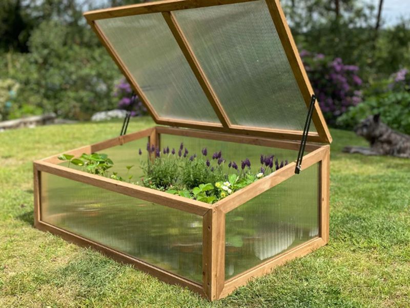 Use Cloches Or Cold Frames For Extra Protection