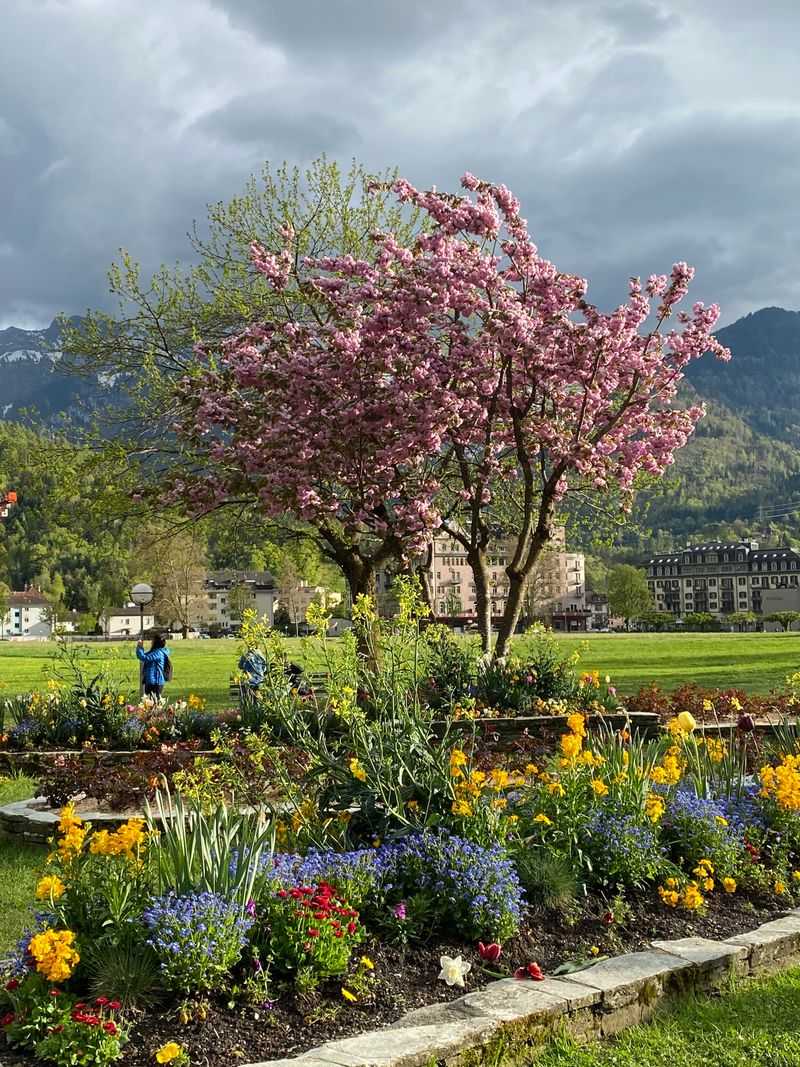 Interlaken Park Trails