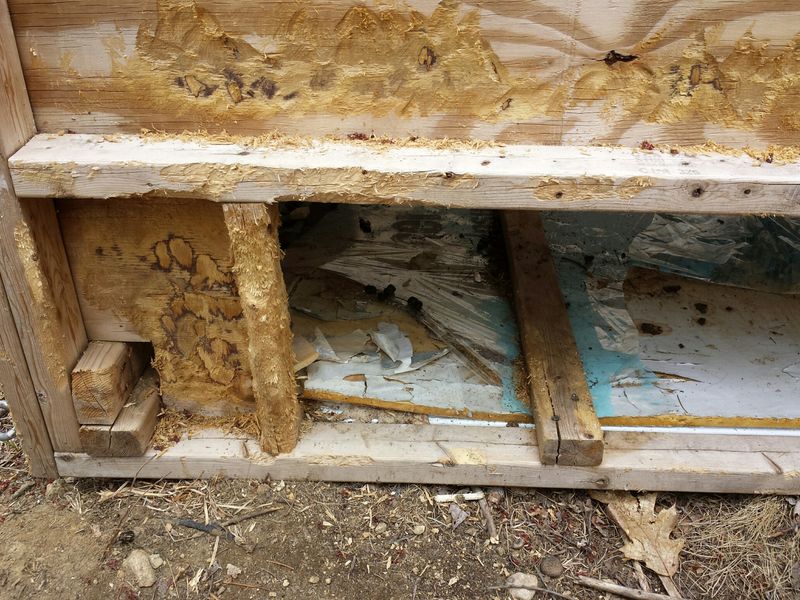 Gnawed Wooden Structures And Garden Tools