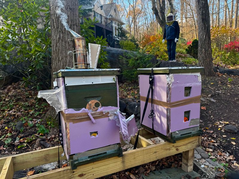 Damaged Beehives Or Honey Containers