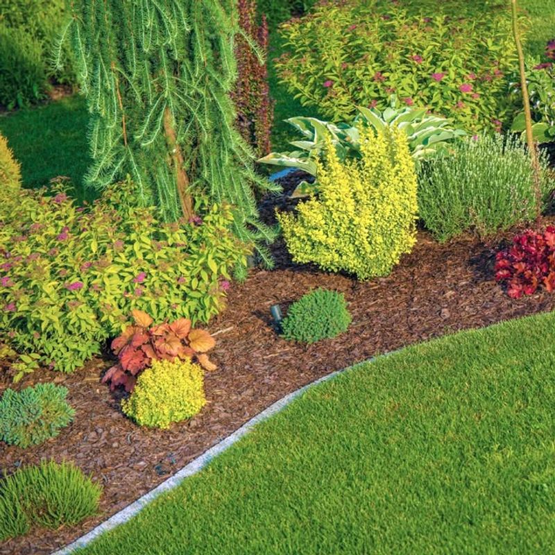 Mulch And Organic Matter Provide Shelter