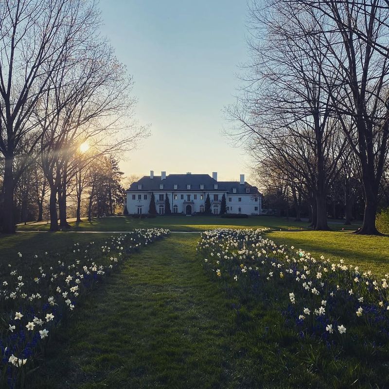 Free Public Access Welcomes All Community Members