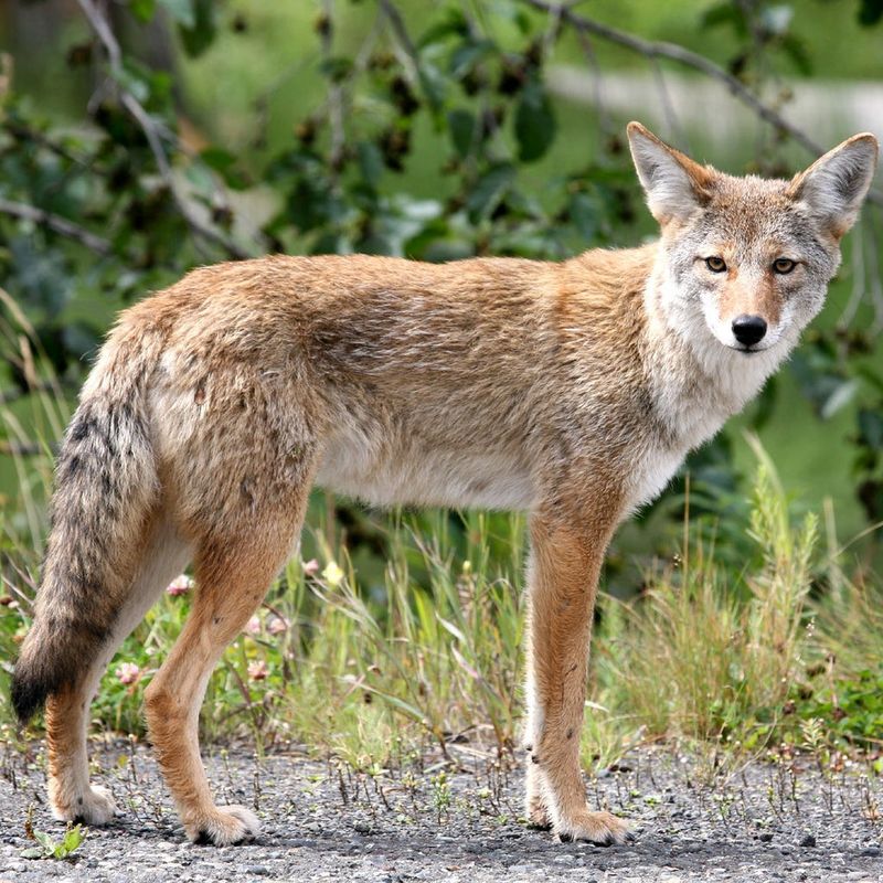 Do Not Turn Your Back