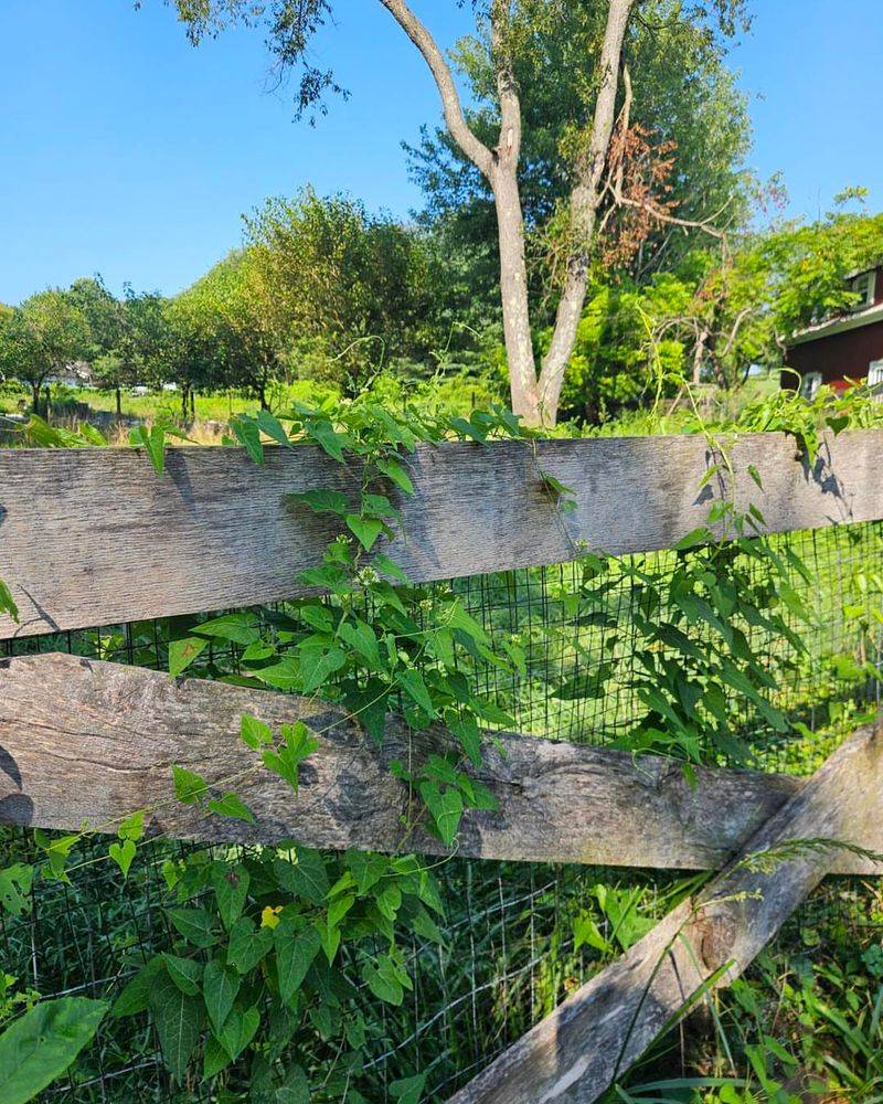 Consider Talking To Your Neighbor First