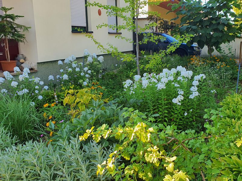 Know When to Seek Mediation Or Legal Advice