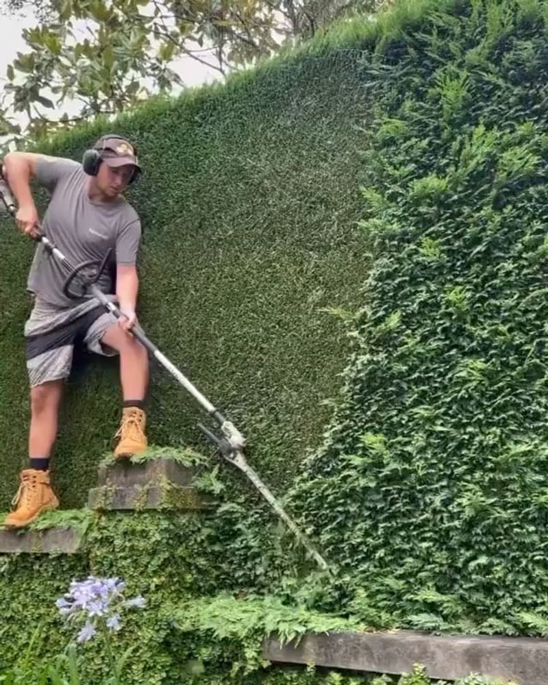 Know When To Hire A Professional Instead