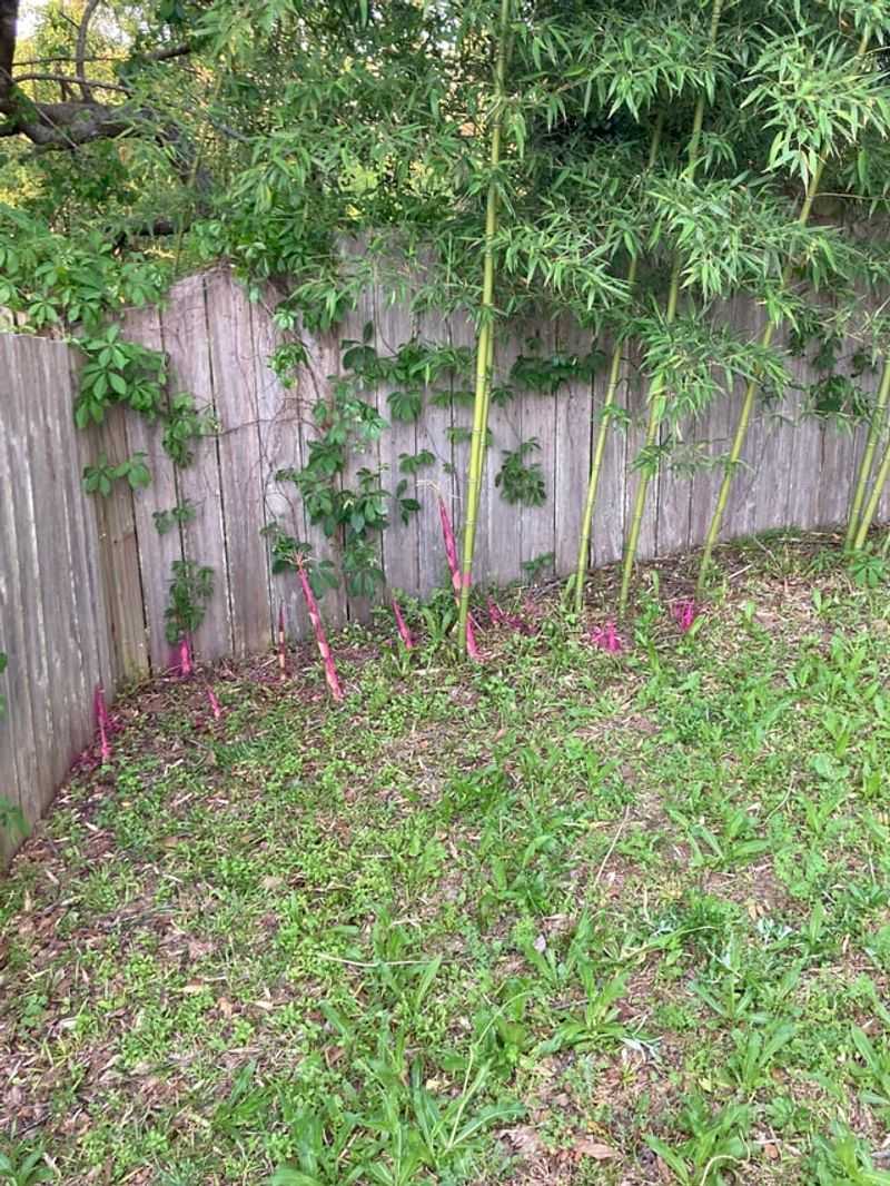 Research Virginia Property Laws