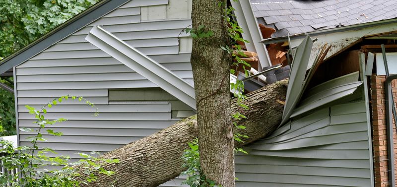 Your Homeowner's Insurance Typically Covers The Initial Damage