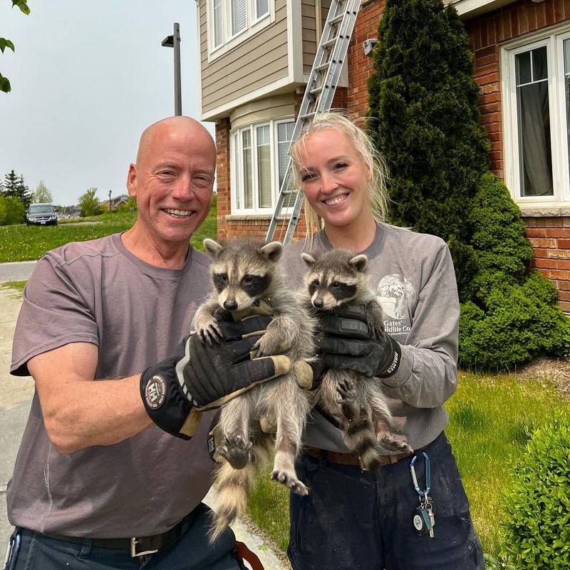 Contact Local Wildlife Services If Needed