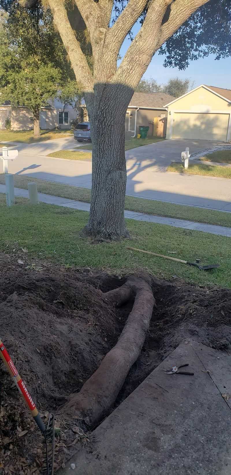 Timing Matters Because Of Prescription Periods