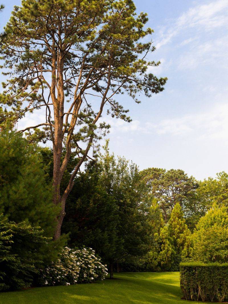 Professional Mediation Can Resolve Neighbor Disputes