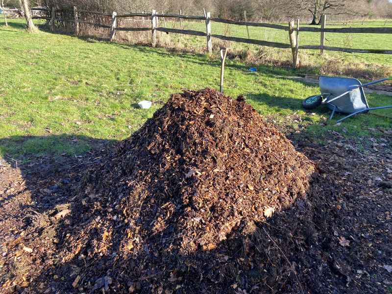 Your Municipality May Have Specific Ordinances