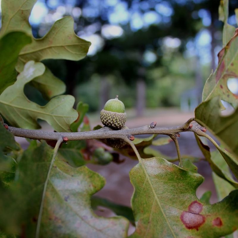 Understanding When Legal Advice Makes Sense