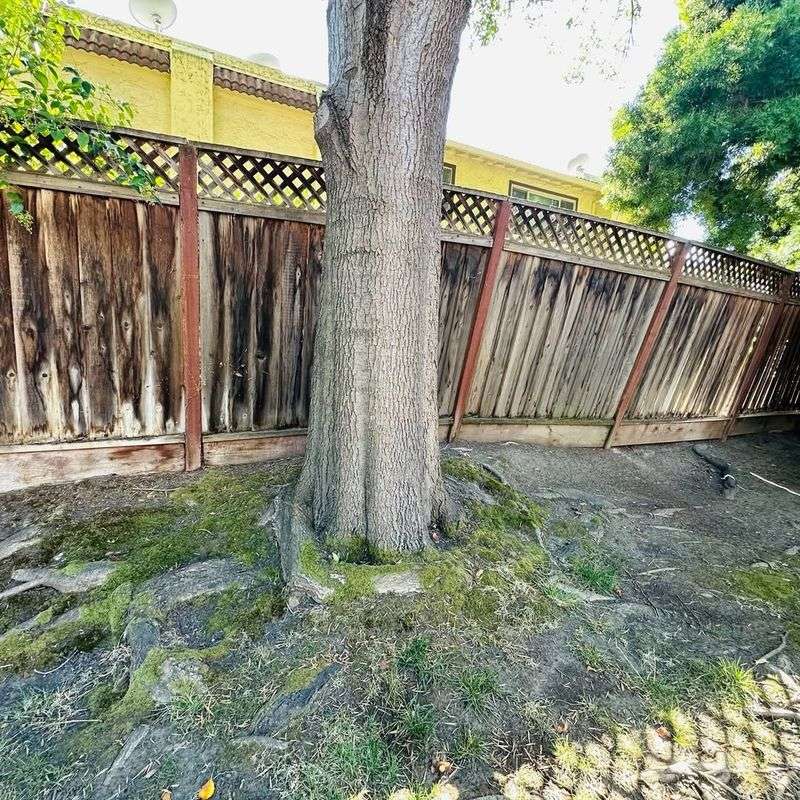 Communicating With Your Neighbor About The Problem