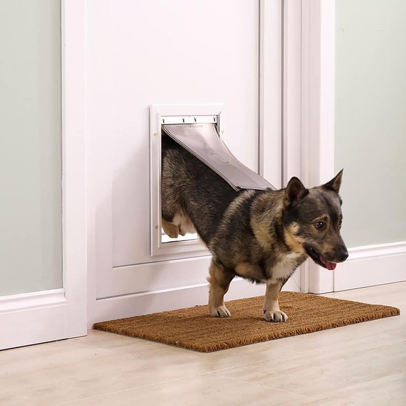 Don't Leave Doors Or Pet Entrances Open