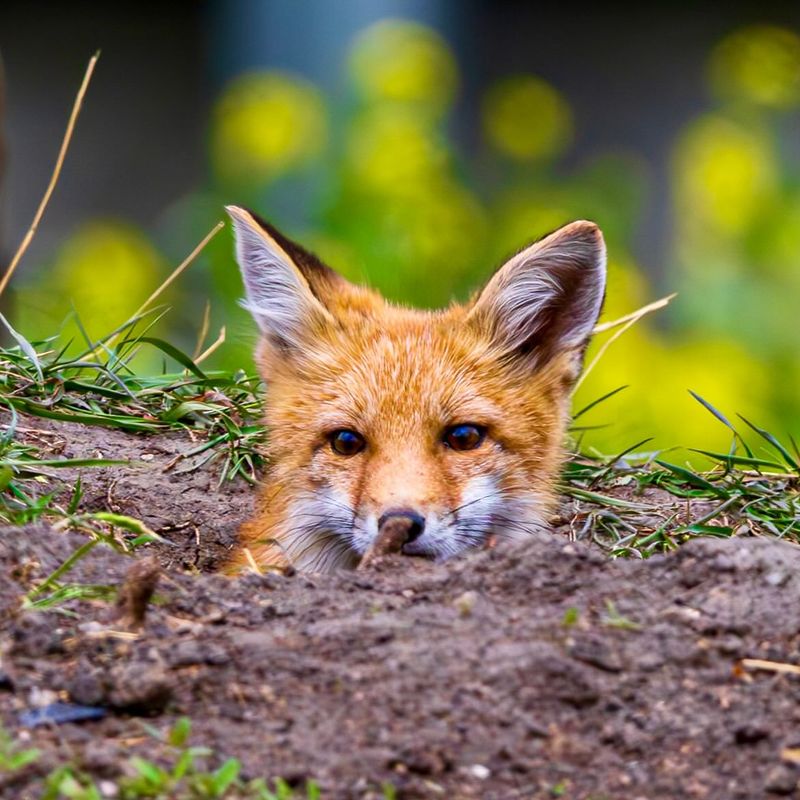 Don't Panic Or Overreact To The Situation