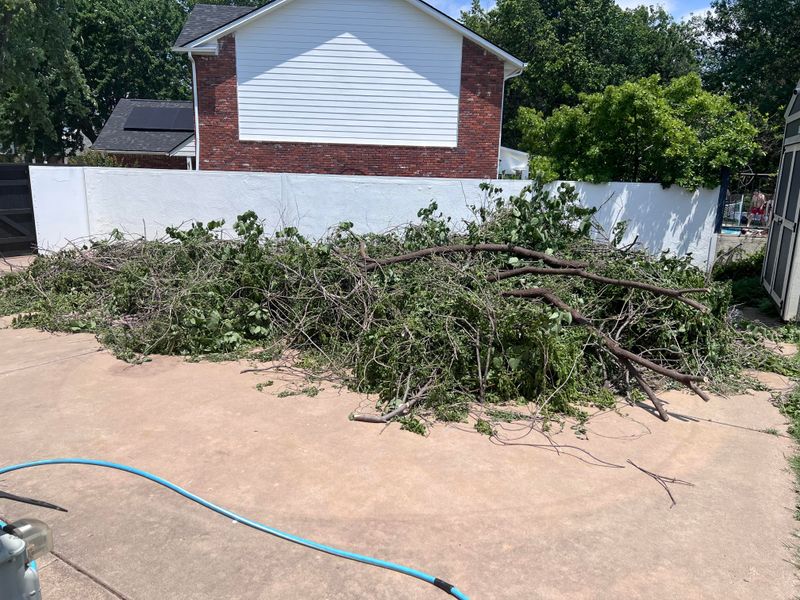 You Own The Trimmed Branches