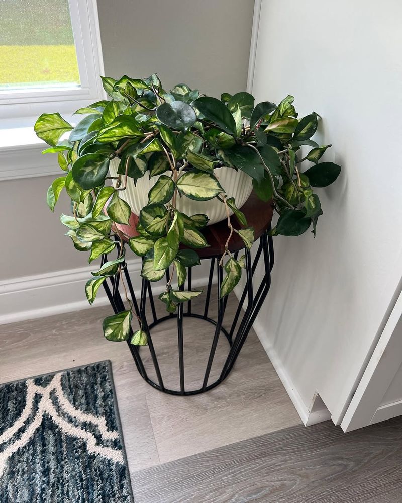 Indoor Heating Systems Affect Moisture Levels