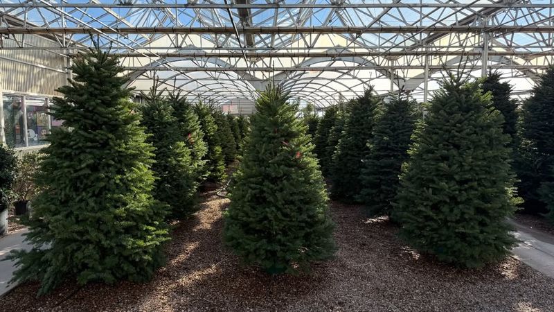 Family Farms Keep Traditions Alive Across Generations