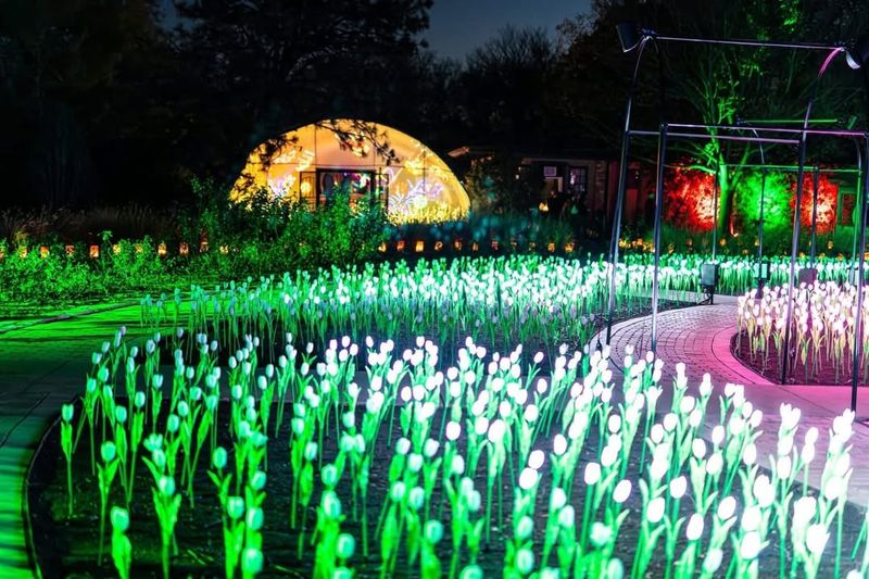 Seasonal Events Transform Gardens Into Celebration Spaces