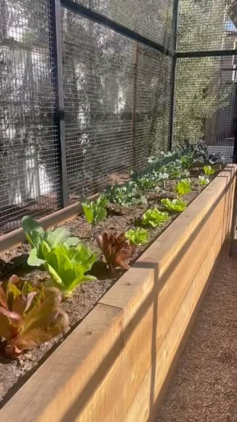 Pest Protection Built Right In