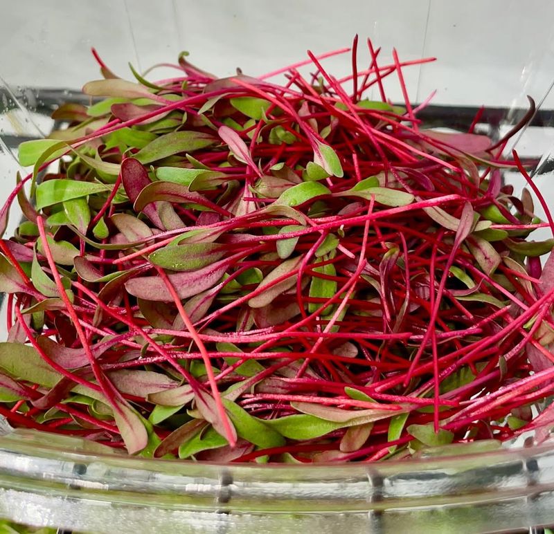 Nutrient Density That Beats Mature Vegetables