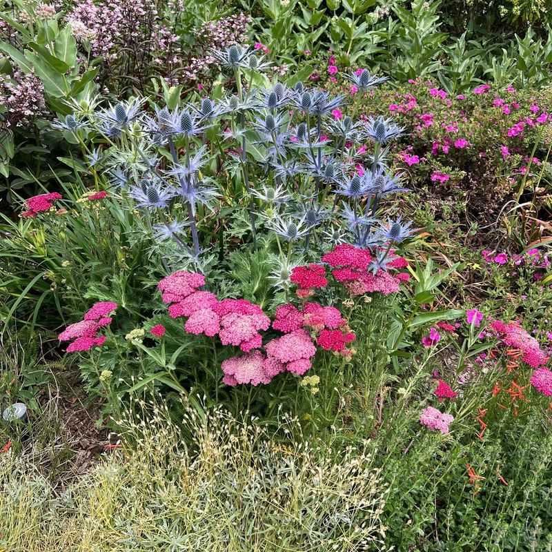 Native Pollinator Gardens