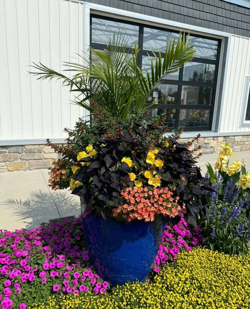 Container Gardens With Heat-Tolerant Plants