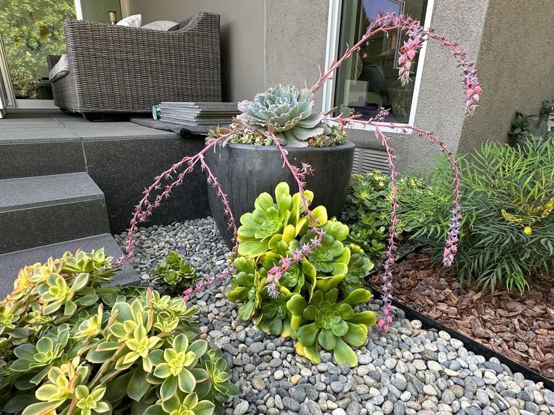 Ornamental Gravel Replaces High-Maintenance Grass Areas