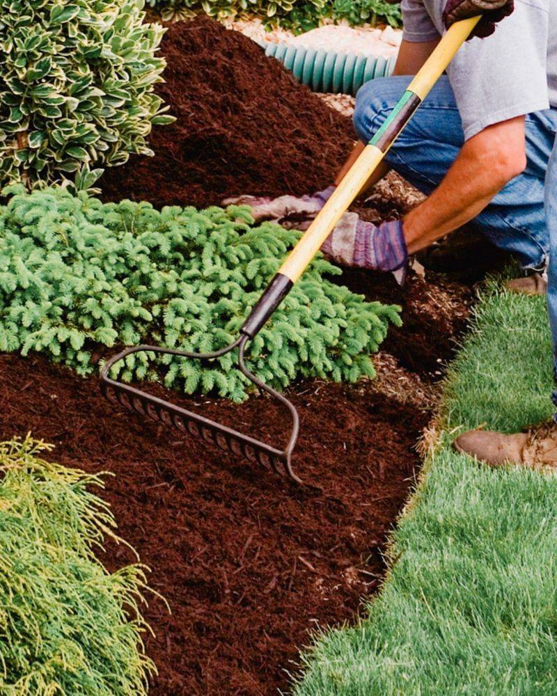 Mulch Works Like Magic For Moisture Retention