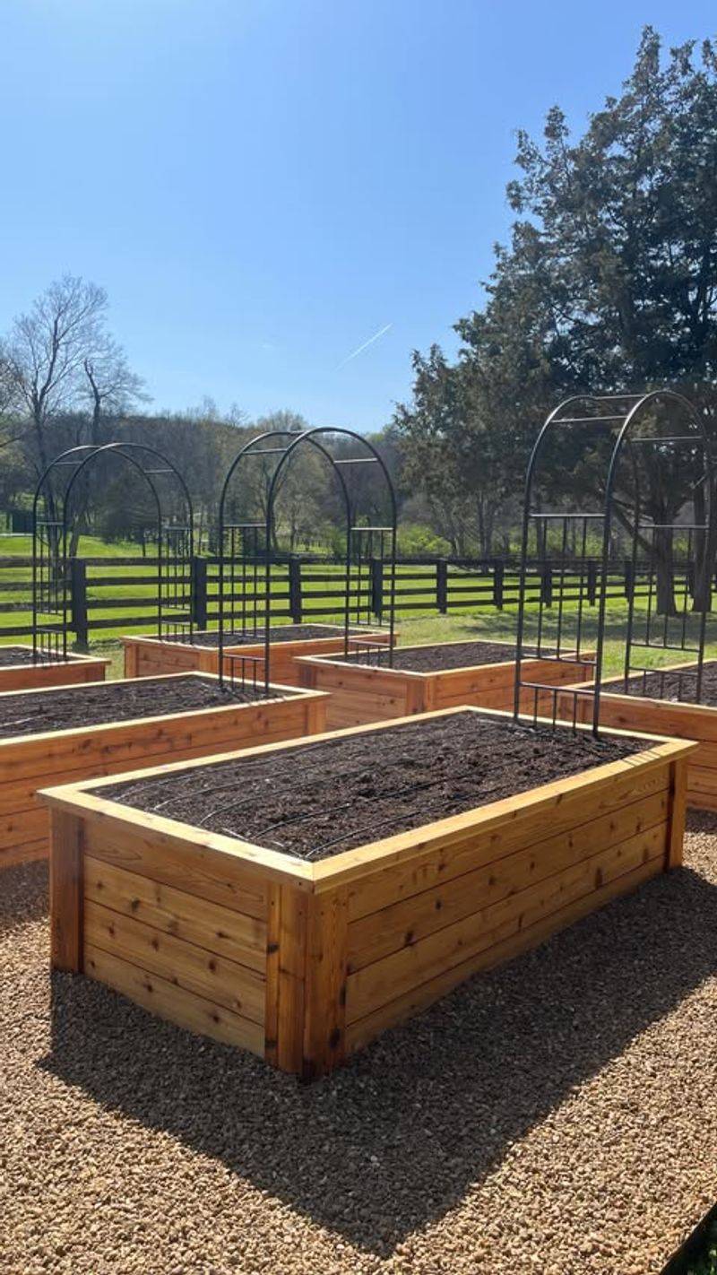 Raised Beds Offer Complete Control From The Start