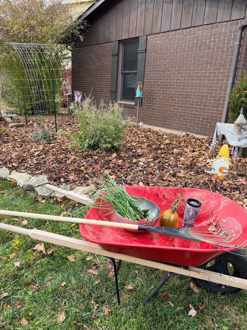 Snow Cover Is Less Reliable As Insulation