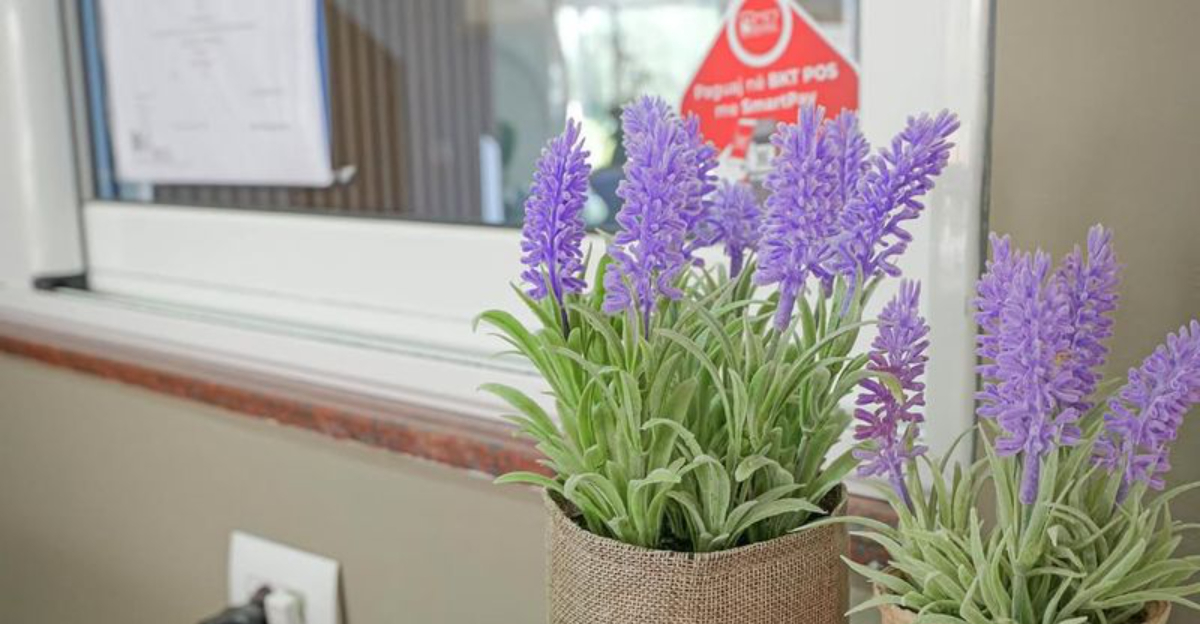 lavender (featured image)