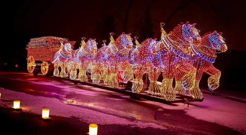 Wonderland In Lights At Rotary Park