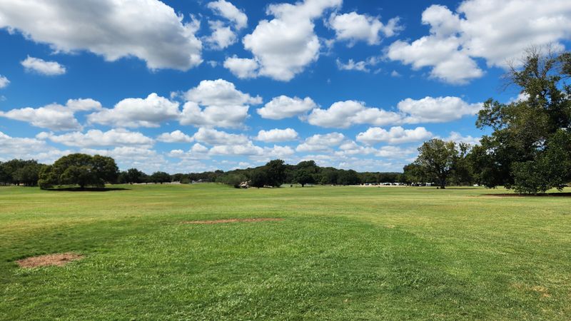 Austin's Urban Forest Corridor