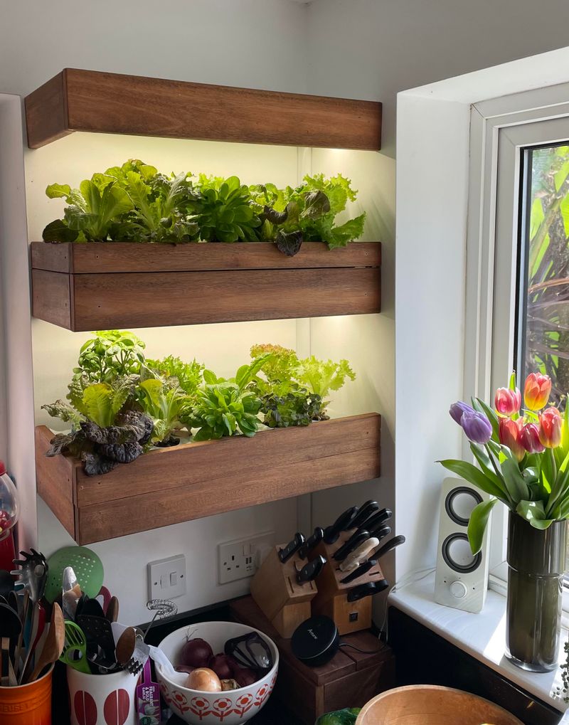 Reduces Stress and Boosts Mental Health