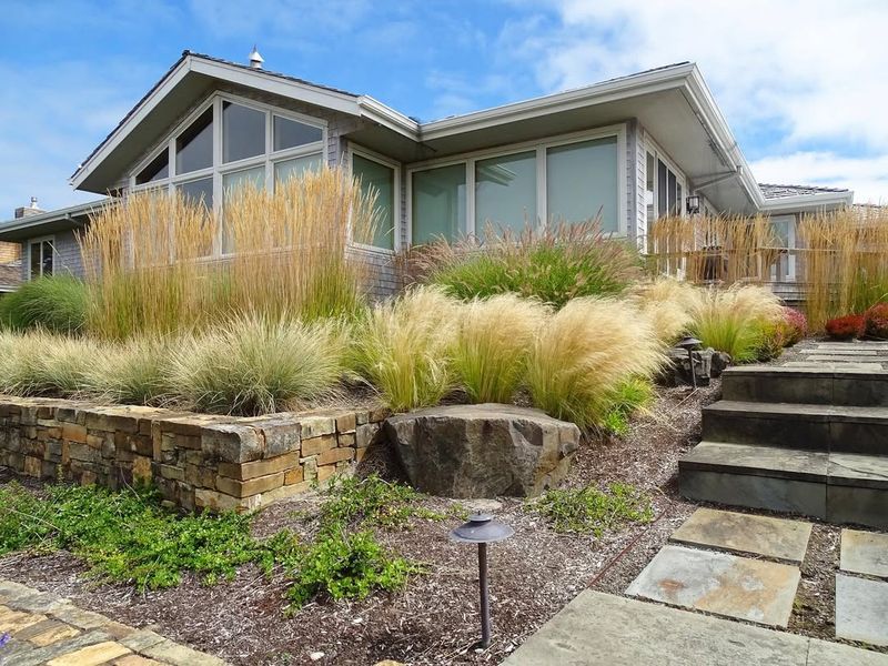 Gravel Gardens with Ornamental Grasses