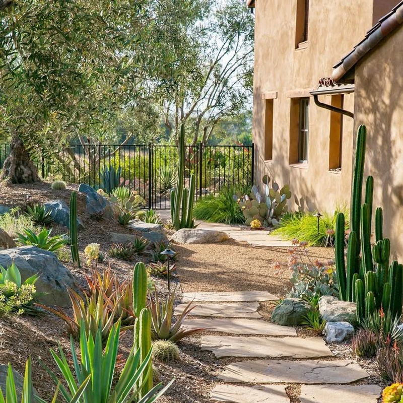 Xeriscaping With Succulents