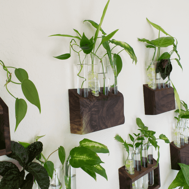 Instagram-Worthy Home Decor Element