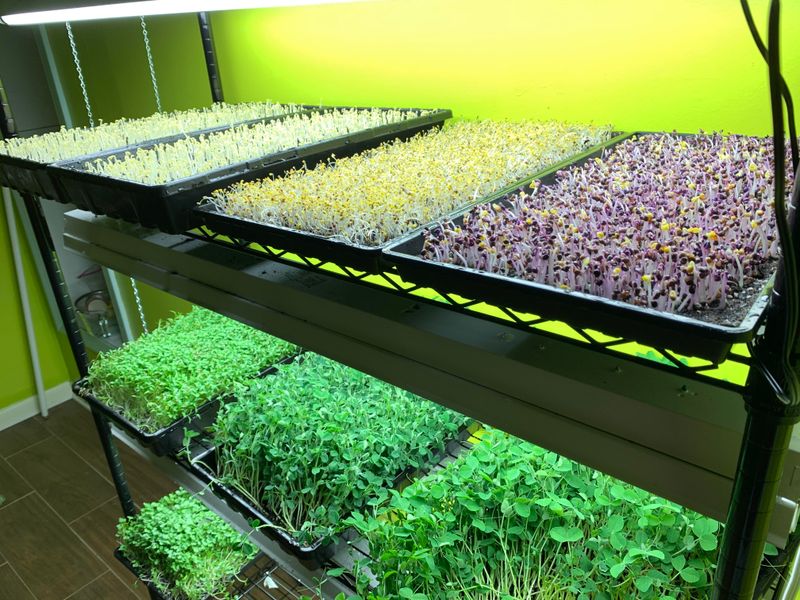 Aesthetic Appeal That Enhances Interiors