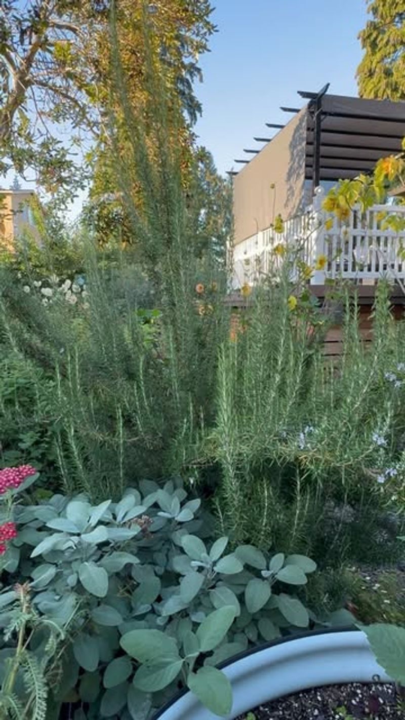 Economic Savings and Self-Sufficiency