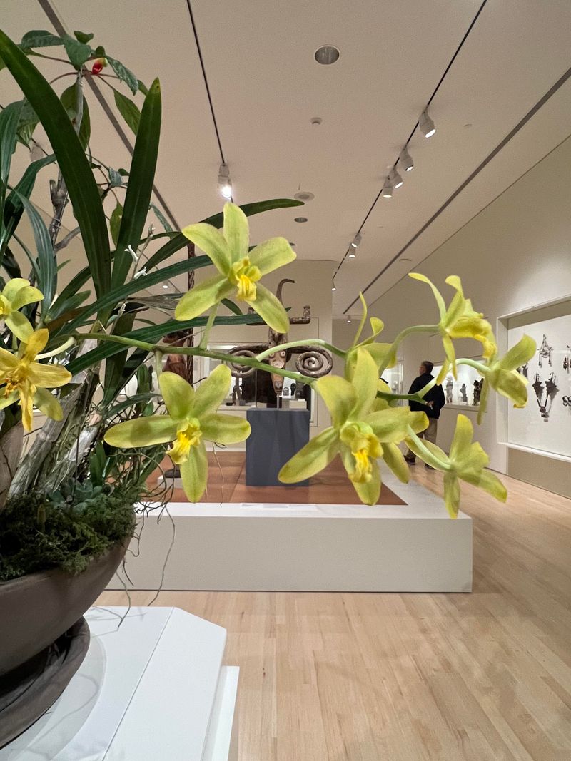 Winding Paths Invite Peaceful Exploration and Discovery