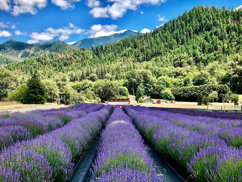 Seasonal Events Create Reasons To Return Repeatedly