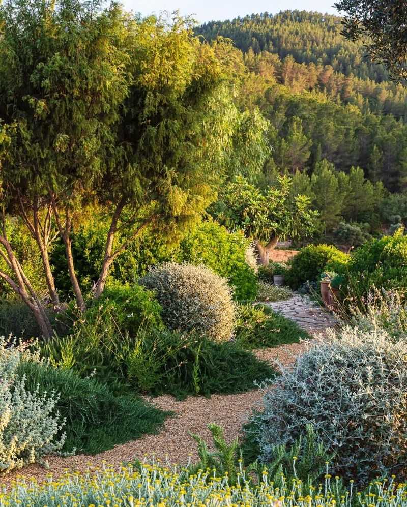 Sustainable Practices That Protect The Environment