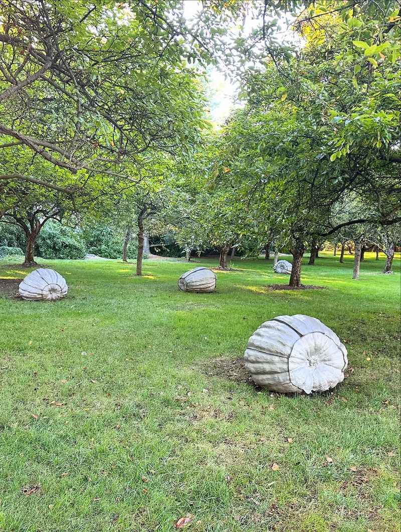 Photography Opportunities Abound at Every Turn