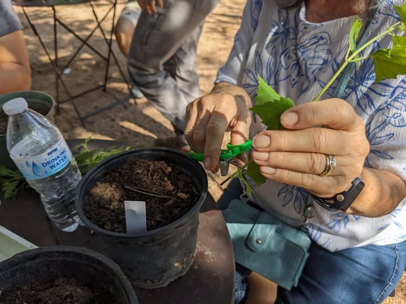 Native Plant Propagation Gets a Boost