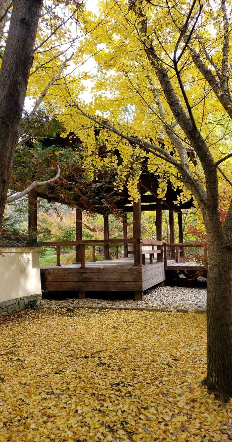 Convenient Nashville Location Makes Visiting Easy